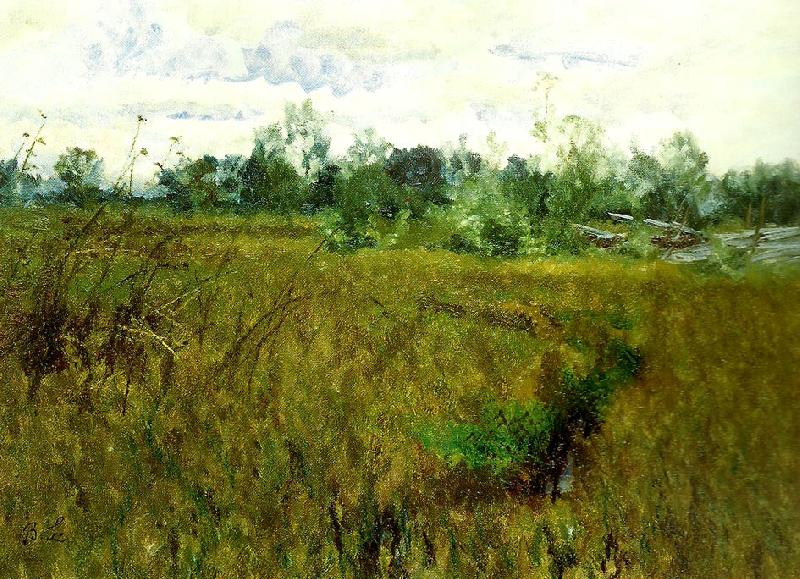 bruno liljefors sommarang oil painting image